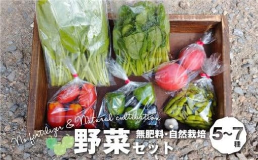 【数量限定】無肥料 自然栽培 野菜セット 5～7種