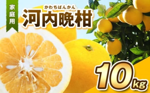 【 家庭用 】 河内晩柑 10kg