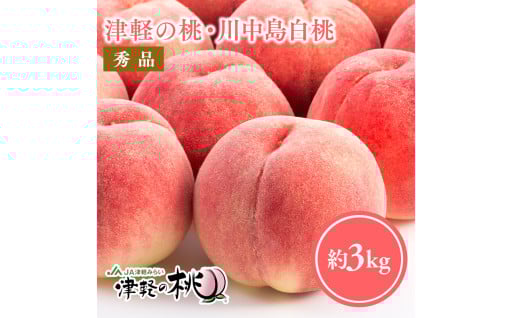 【8月中旬～8月下旬発送予定】津軽の桃　旬の白桃約3kg