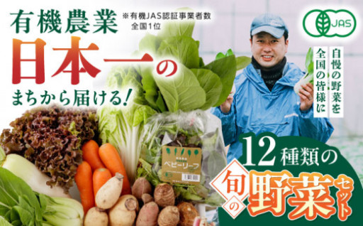 有機野菜の町「山都町」から、旬の恵みを楽しむ有機野菜セットをお届けします！