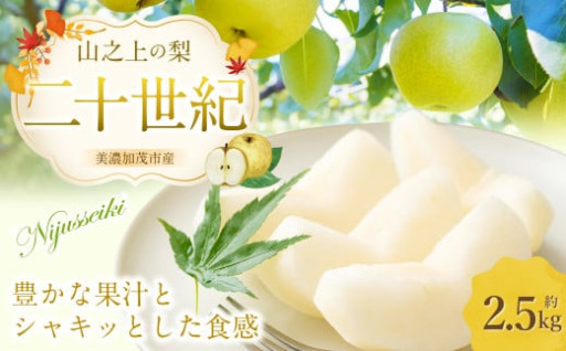 《先行予約》 「山之上果実農業協同組合」 山之上の梨 二十世紀 1箱 約2.5kg
