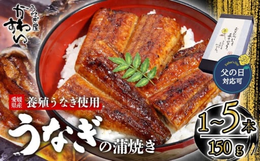 【父の日に間に合う！】愛媛県松山市産の養殖うなぎをお届けいたします！