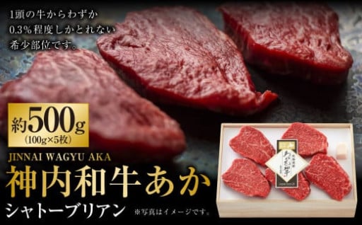 神内和牛あか シャトーブリアン 約500g