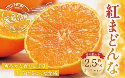 愛媛の旬の柑橘 紅まどんな（専用箱）約2.5kg