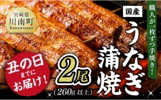 丑の日(7月19日)までにお届け！うなぎの蒲焼