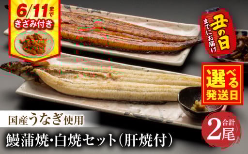 【宮崎県宮崎市】🔥期間限定特別規格！6/11まで🔥