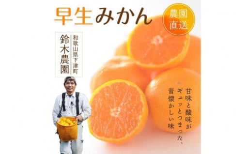 早生みかん【訳あり】混合サイズ 5kg