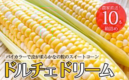 農家直送！とうもろこし ドルチェドリーム 10本