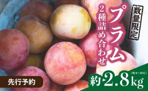 ＼出荷期間たったの2週間！／【限定30箱】プラム 2種詰め合わせの受付スタートです！
