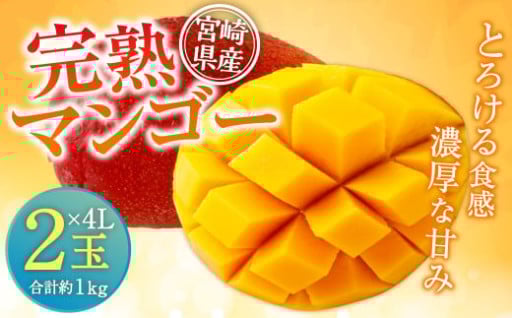 宮崎県産 完熟マンゴー 4L×2玉(合計 約1kg)