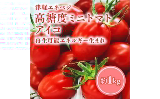 ≪7月以降順次発送≫ 高糖度 ミニトマト [アイコ] 約1kg