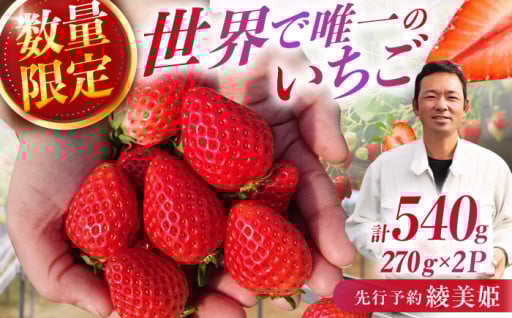【6年の情熱、1万分の1の奇跡】幻のイチゴ「綾美姫」誕生