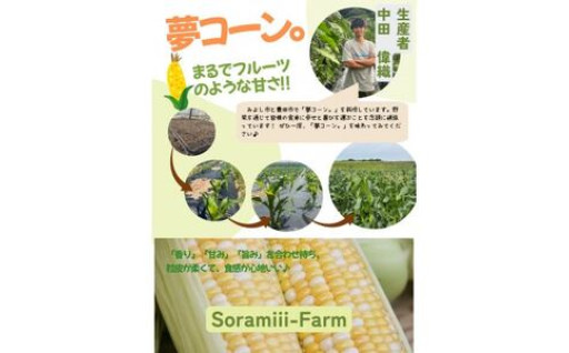 フルーツに負けない甘さ！夢コーン。🌽