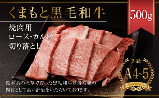くまもと黒毛和牛 焼肉用 ロース・カルビ 切り落とし 500g