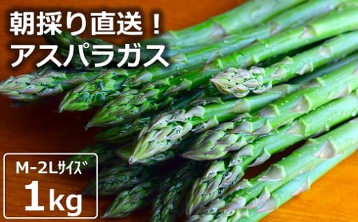 朝採りアスパラガス1kg サイズ混合