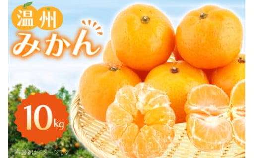 温暖な気候が育む。ジューシー東彼杵みかん