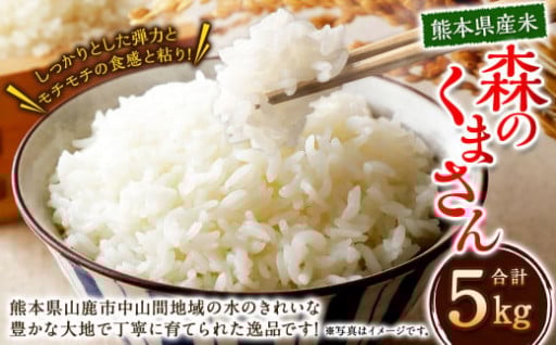 《先行予約》熊本県産 米 森のくまさん 5kg 