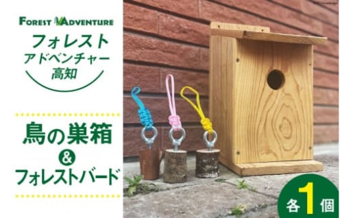 作って、置いて、鳥たちと遊ぼう！