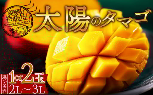 宮崎県産 太陽のタマゴ 2Lor3L 1or2個