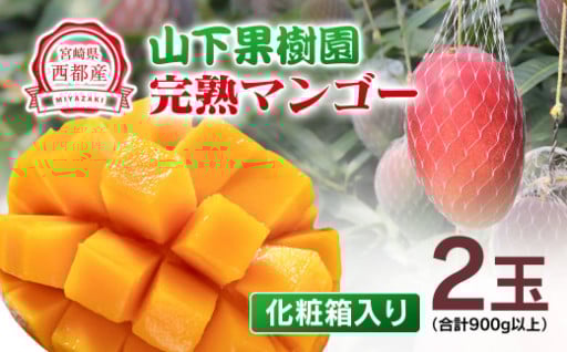 【マンゴー専門 山下果樹園】 2玉 900g以上