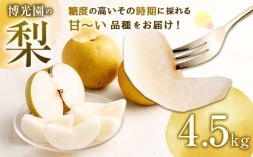 美味しい 【九州産】 梨 4.5kg