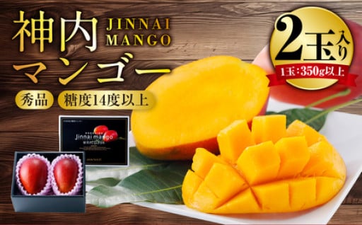 神内マンゴー 秀品 350g以上 2玉入り