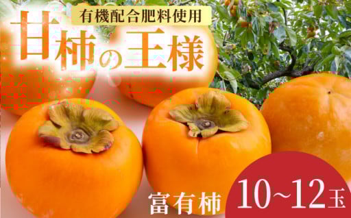【予約】有機配合肥料使用 富有柿 10玉～12玉