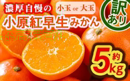 ＜2025年11月下旬以降発送予定＞＜訳あり・選べるサイズ＞香川県産 小原紅早生みかん(約5kg/小玉・大玉)