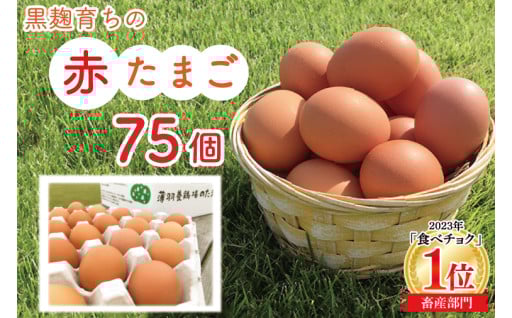 おトクな♪ 大容量！黒麹育ちの赤たまご 75個