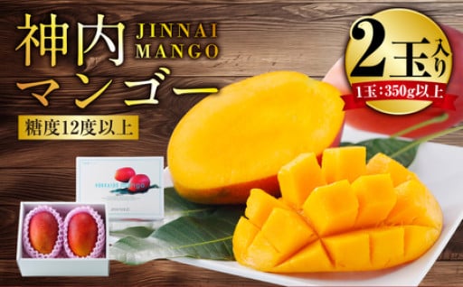 神内マンゴー 350g以上 2玉入り
