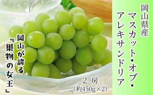 マスカット・オブ・アレキサンドリア 2房