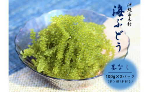 海ぶどう茎なしセット（ポンズ1本付き）