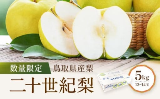【人気返礼品・リピート多数】数量限定 鳥取県産梨 二十世紀梨 5kg（12～14玉）
