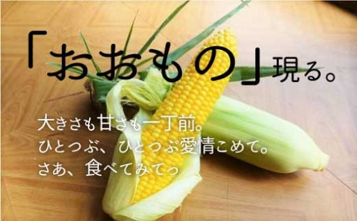 北海道産スイートコーン「おおもの」12本
