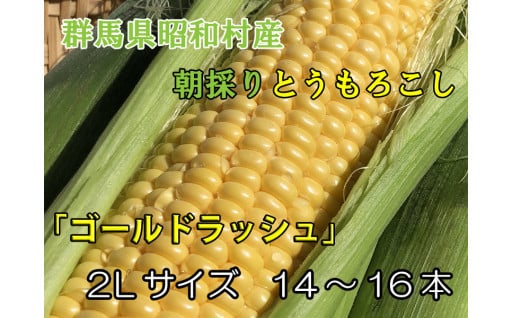 昭和村産朝採りとうもろこし「ゴールドラッシュ」14～16本