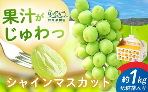 【先行予約】みかん農家の絶品シャイン