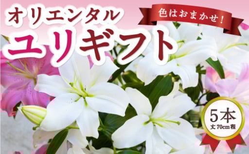 後藤花卉園 オリエンタルユリ