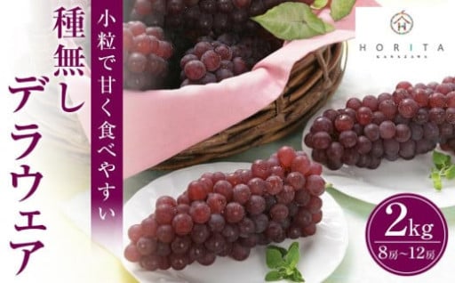 種無しデラウエア 2kg（8～12房） 