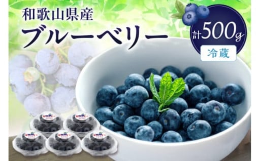 冷蔵ブルーベリー　500ｇ《期間限定》