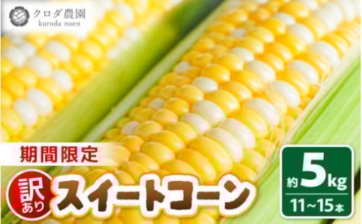 【訳あり】鮮度抜群！採れたての御馳走✨あま～い🌽