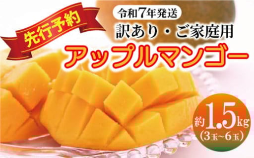 【訳あり・ご家庭用】アップルマンゴー（約1.5kg）【先行予約・2025年発送】