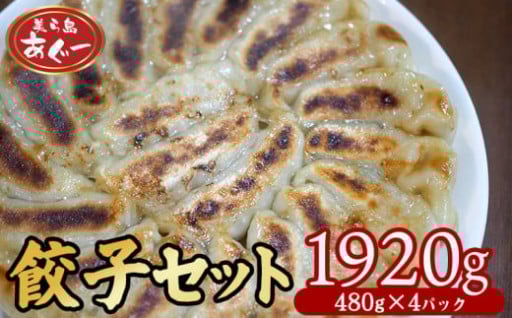 【美ら島あぐー】　餃子セット　1920ｇ 【480g×4パック】 