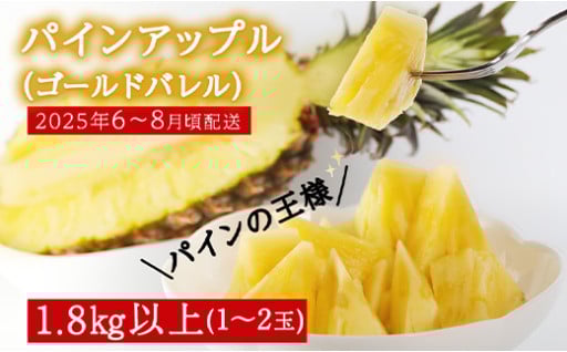 今帰仁産パインアップル（ゴールドバレル）