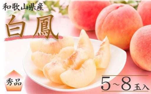 【今が旬！】和歌山県産 白鳳 桃 5～8玉入り 秀品 先行予約【2025年6月下旬以降発送】