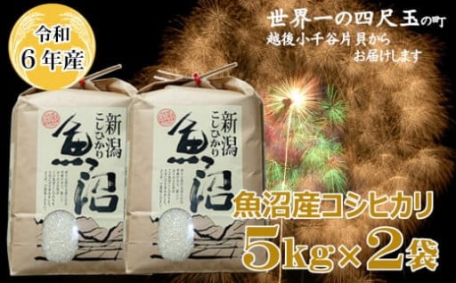 令和6年度産 魚沼産コシヒカリ 10kg(5kg×2袋)