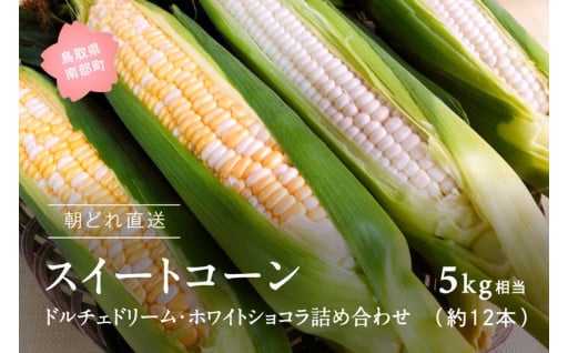 朝採れ！ スイートコーンをお届けします！