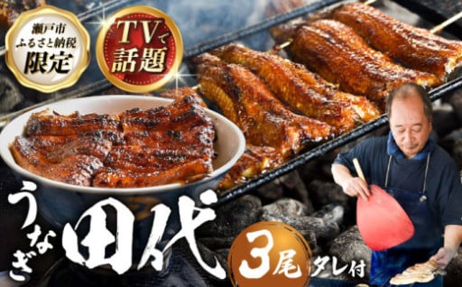 【TVで話題！】ふるさと納税限定の絶品うなぎ