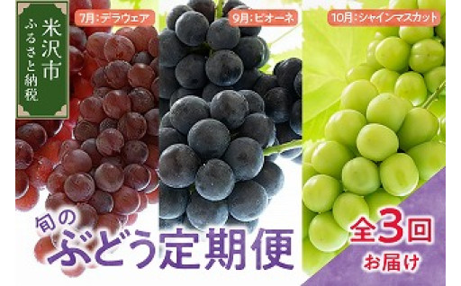 ✨🍇令和7年産 ぶどうの定期便 全3回🍇✨