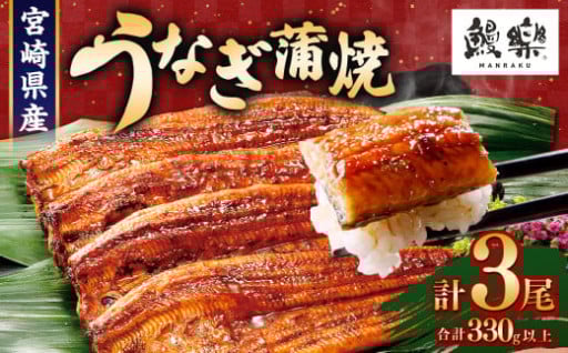 ＜国産 うなぎ蒲焼 3尾 計330g以上＞