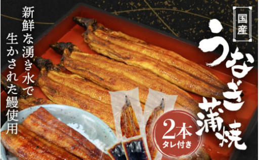 国産うなぎ蒲焼（２本）タレ付き 